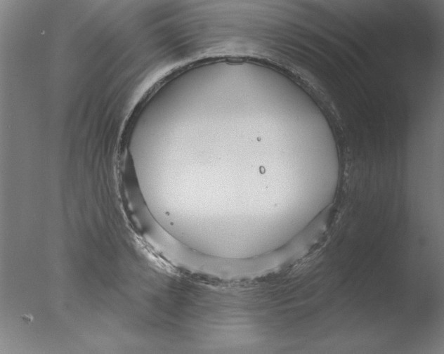 X0000076060942200610201944