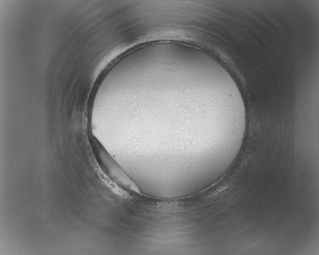 X0000076060944200610201944