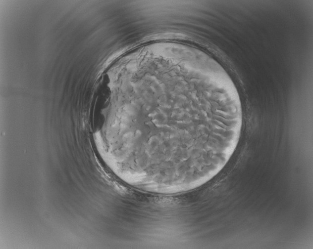 X0000076060945200610201944