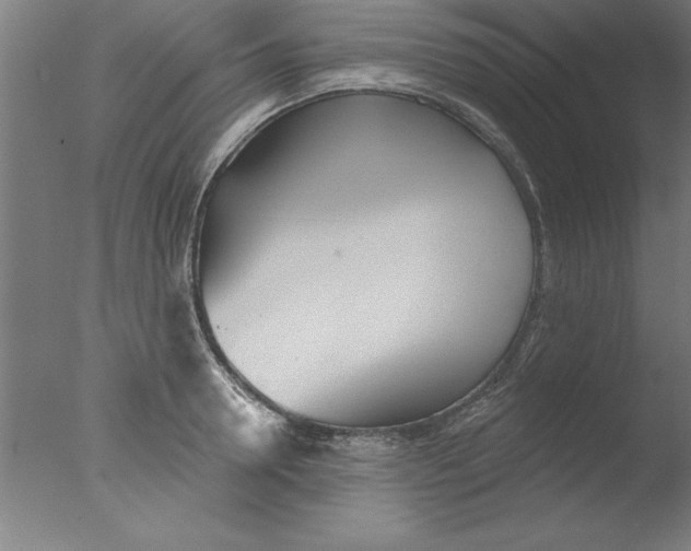 X0000076060946200610201944