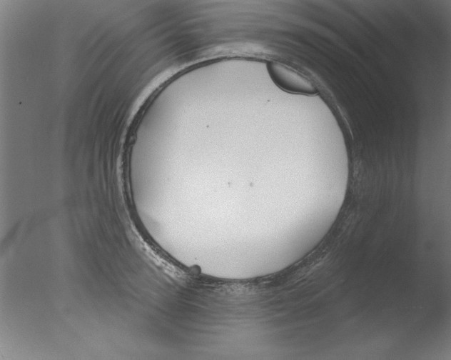 X0000076060947200610201944