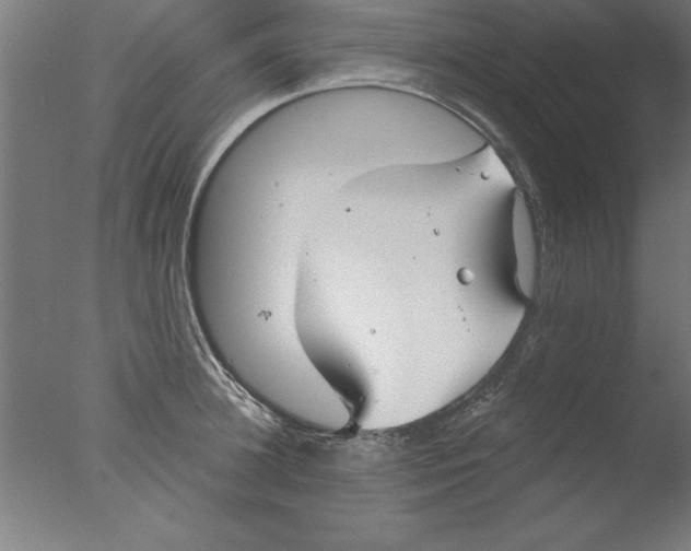 X0000076060948200610201944