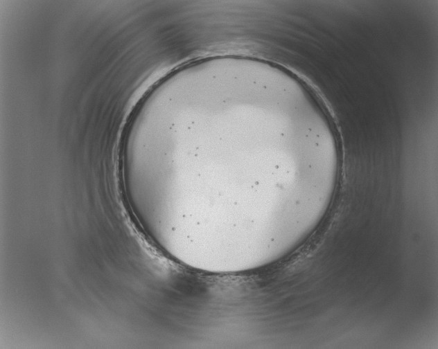 X0000076060949200610201944