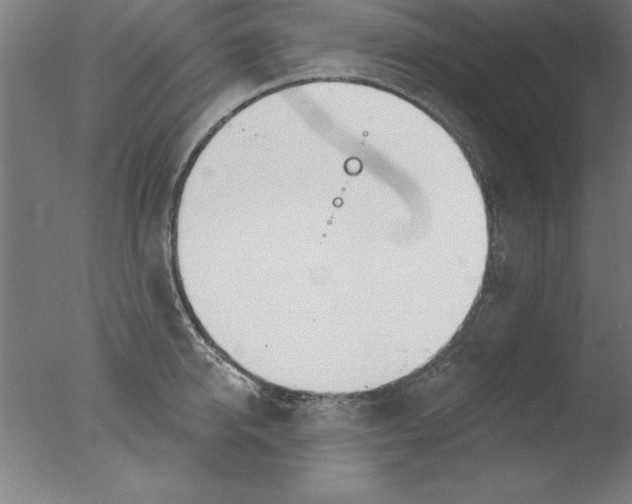 X0000076060950200610201944