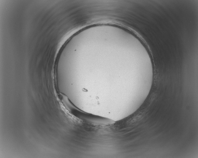 X0000076060951200610201944