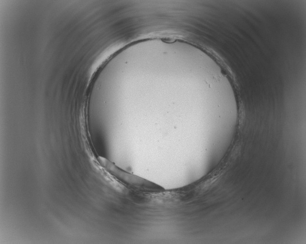 X0000076060952200610201944