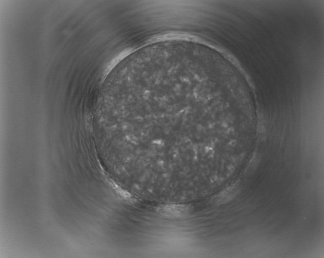 X0000076060953200610201945