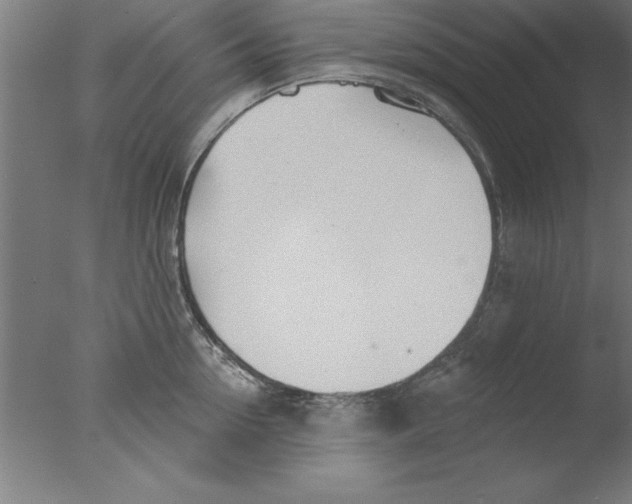 X0000076060954200610201945