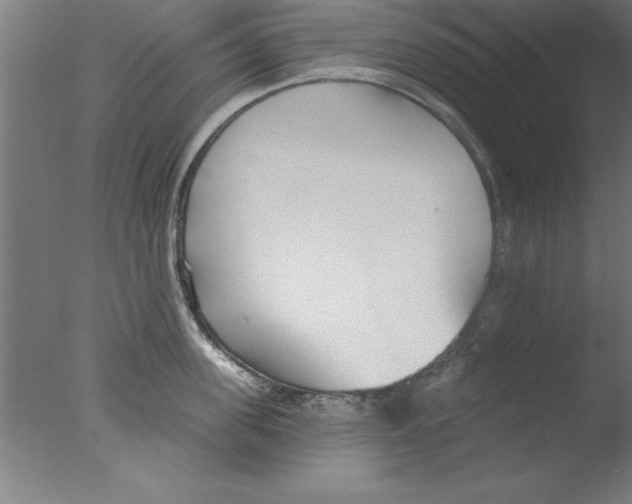 X0000076060955200610201945