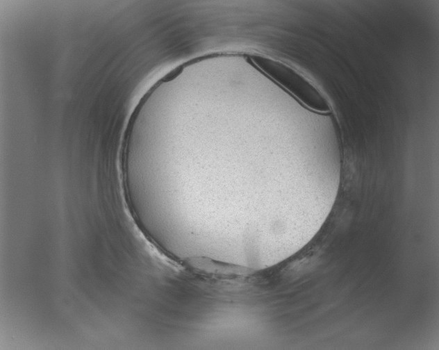 X0000076060959200610201945