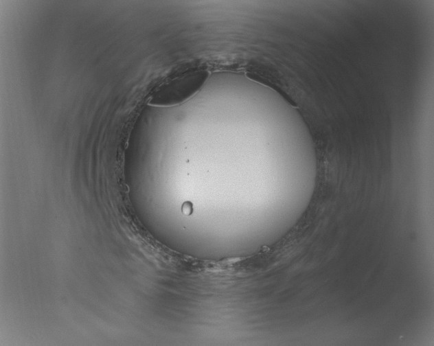 X0000076060961200610201944