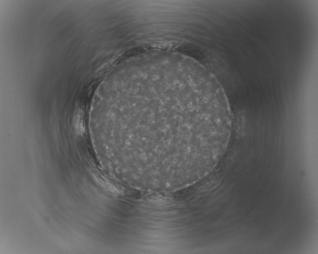 X0000076060962200610201944