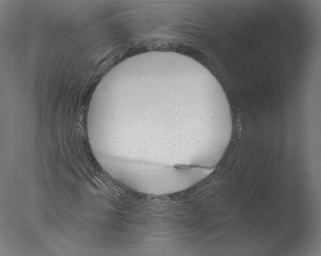 X0000076060964200610201944