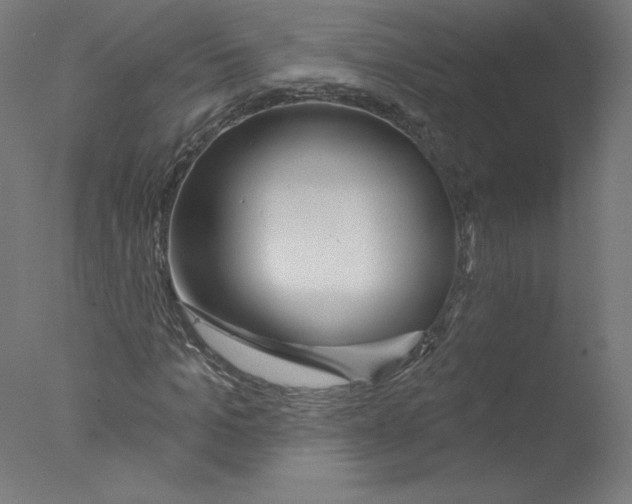 X0000076060965200610201944