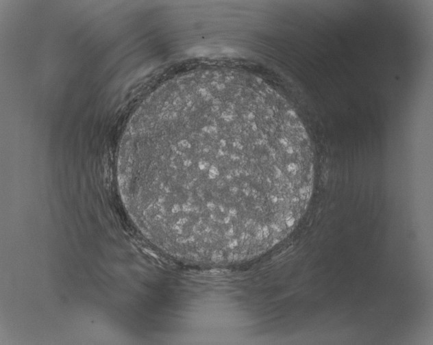 X0000076060966200610201944