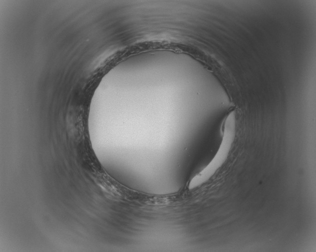 X0000076060968200610201944