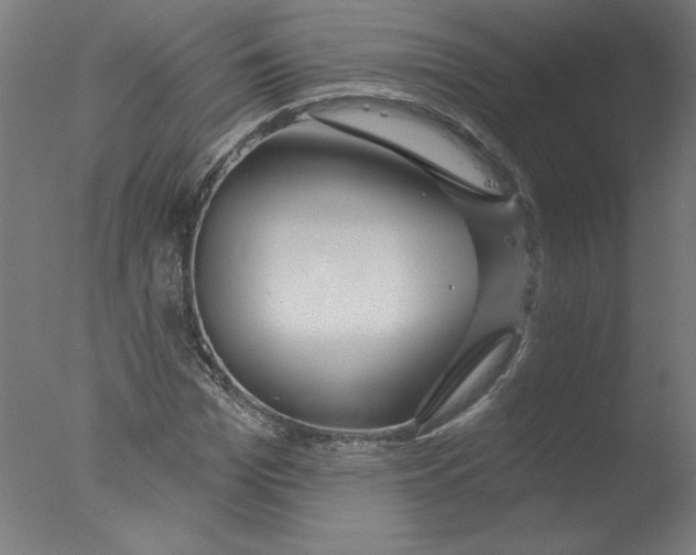 X0000076060969200610201944