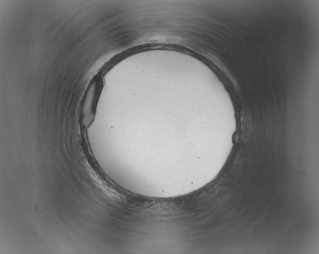 X0000076060972200610201944