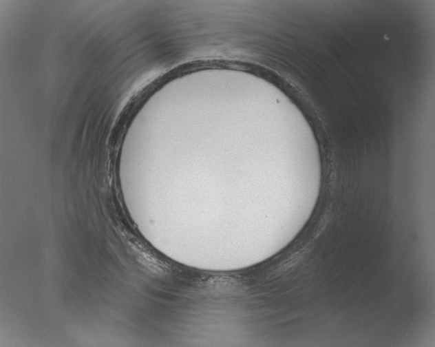 X0000076060974200610201944