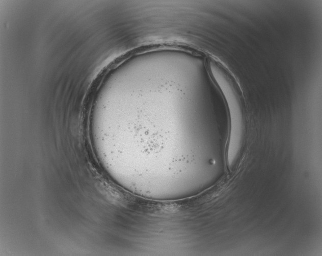 X0000076060975200610201944