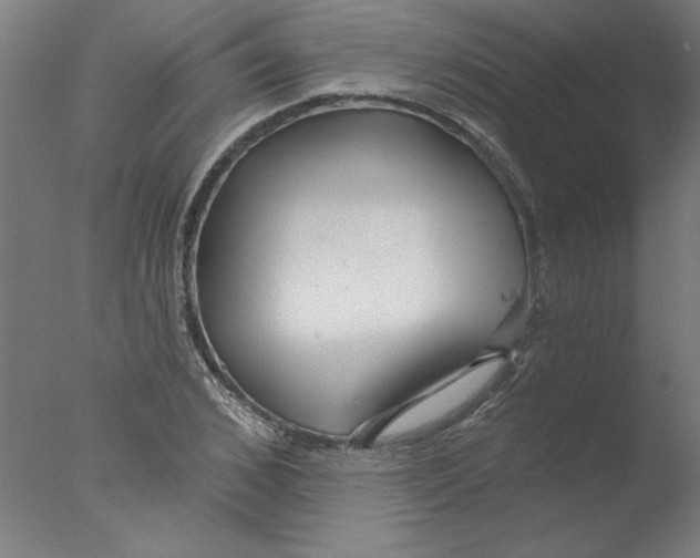 X0000076060976200610201944