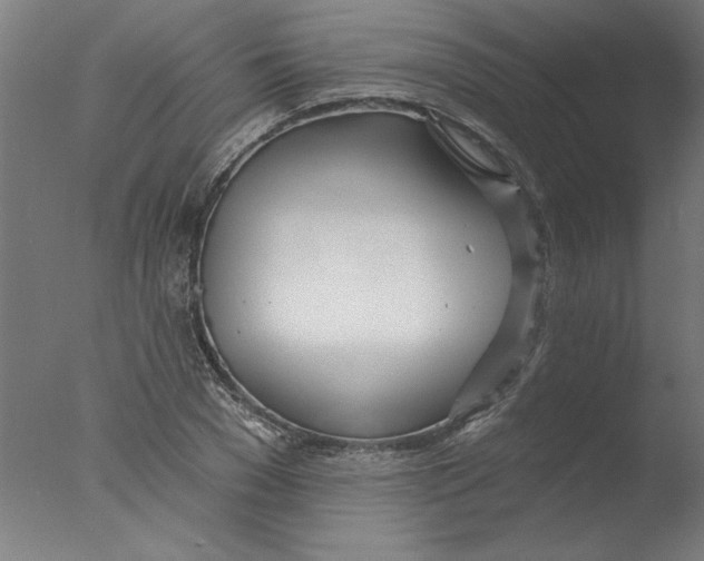 X0000076060977200610201944