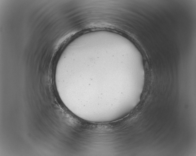 X0000076060979200610201944