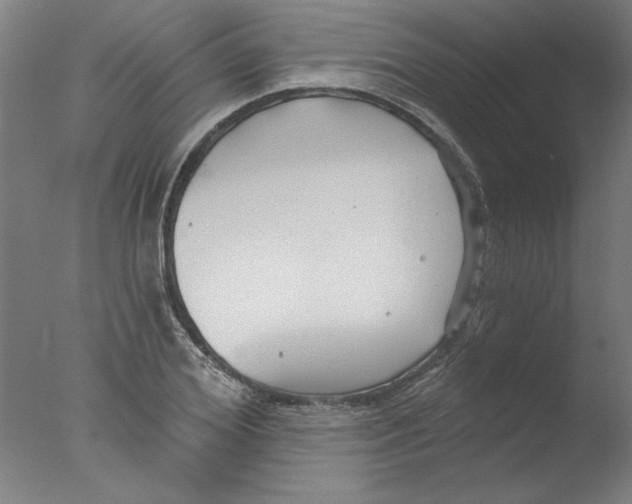 X0000076060980200610201944