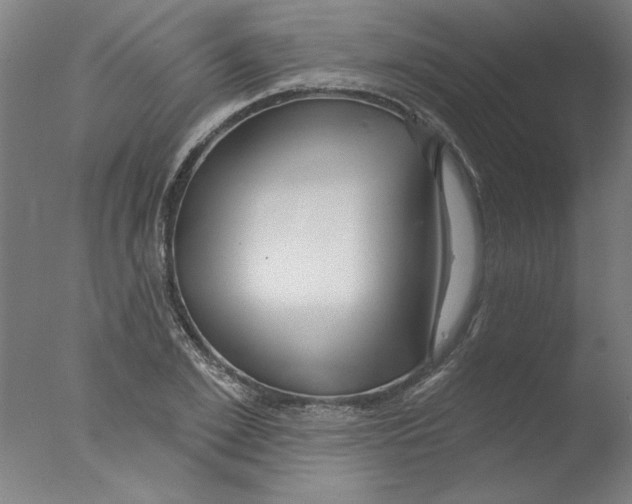 X0000076060981200610201943