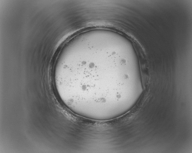 X0000076060983200610201943