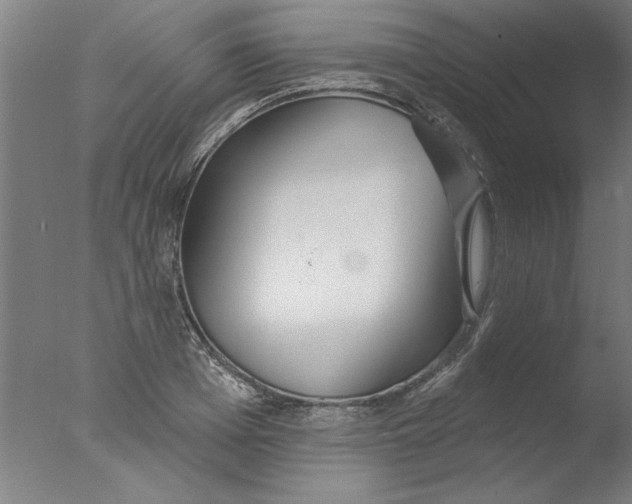 X0000076060985200610201943