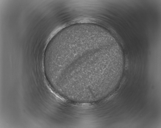 X0000076060986200610201943