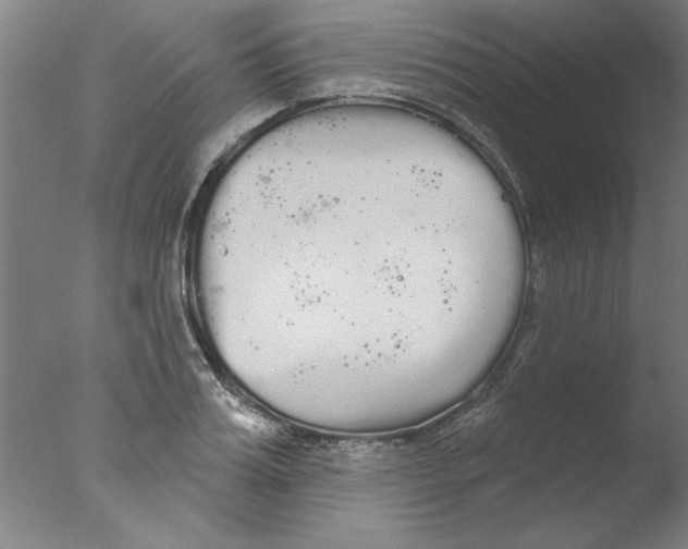 X0000076060987200610201943