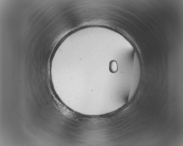 X0000076060988200610201943