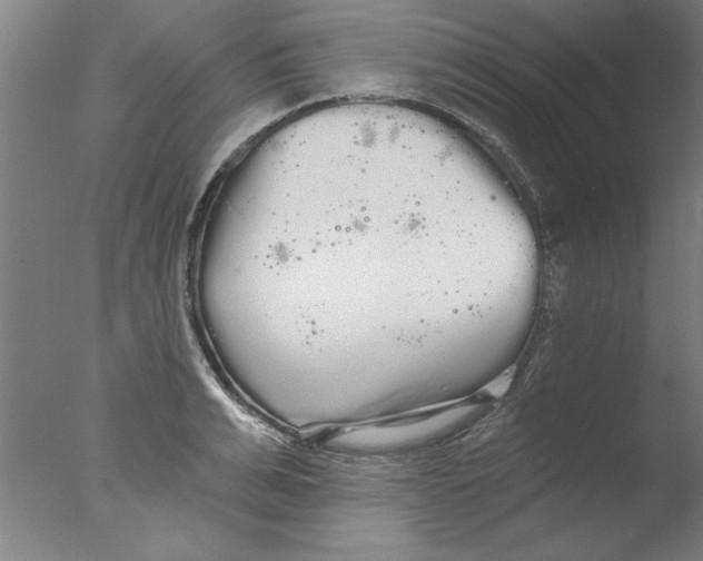 X0000076060991200610201943