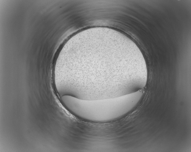 X0000076060992200610201943