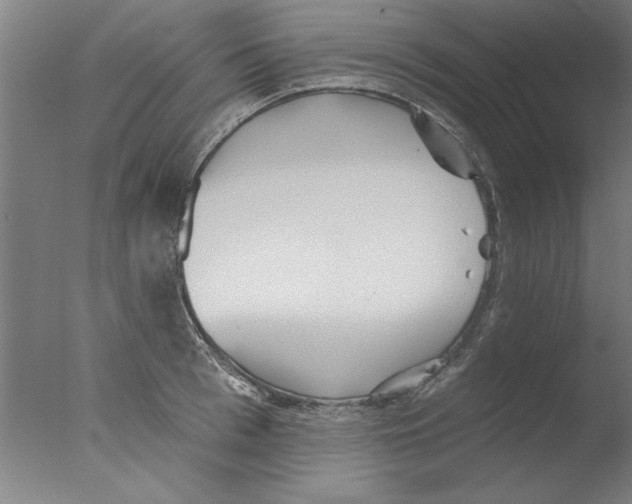 X0000076060993200610201943