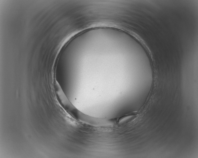 X0000076060996200610201943