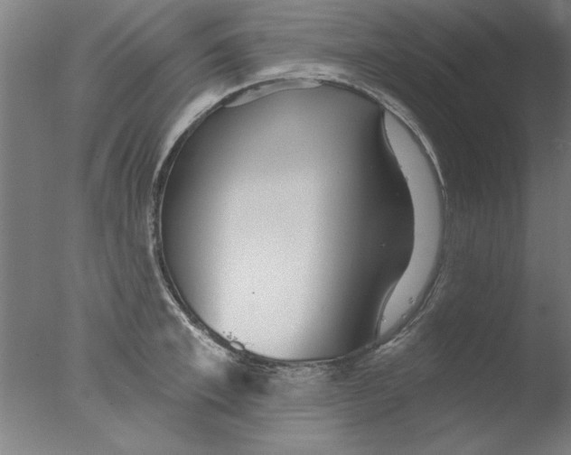 X0000076060997200610201943