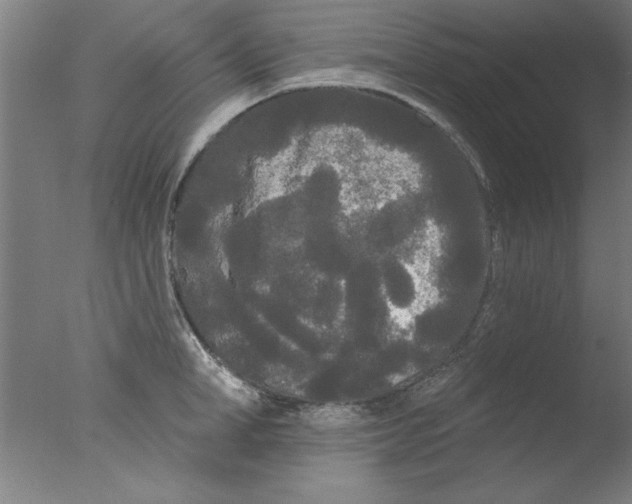 X0000076060998200610201943