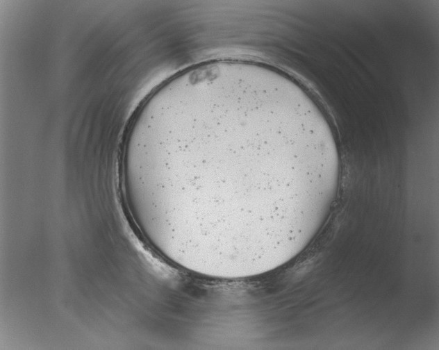 X0000076060999200610201943