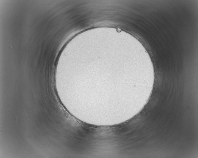 X0000076061000200610201943