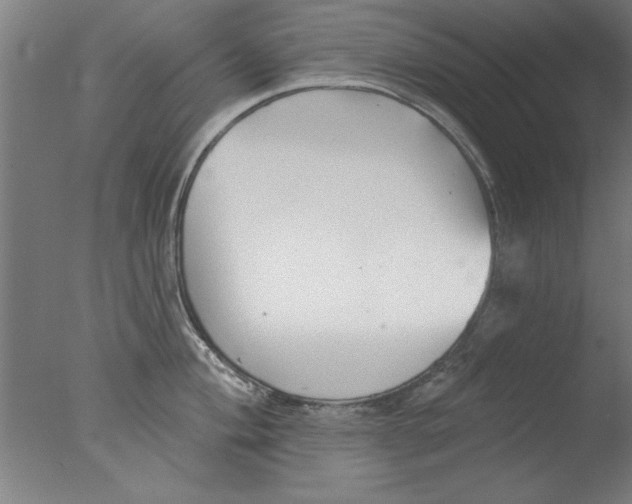 X0000076061004200610201943