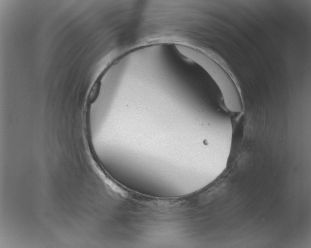 X0000076061005200610201943