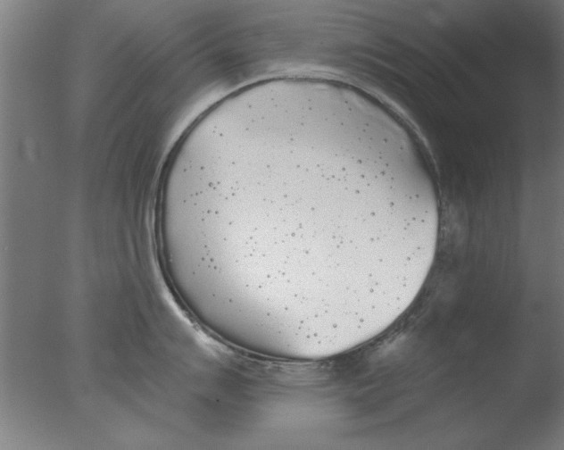 X0000076061007200610201943