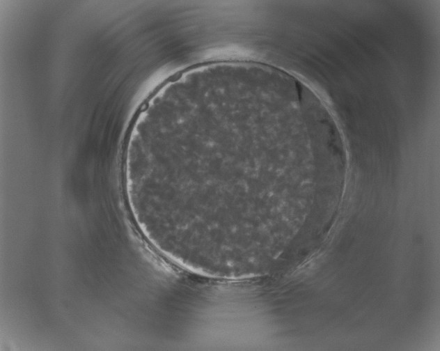 X0000076061008200610201943