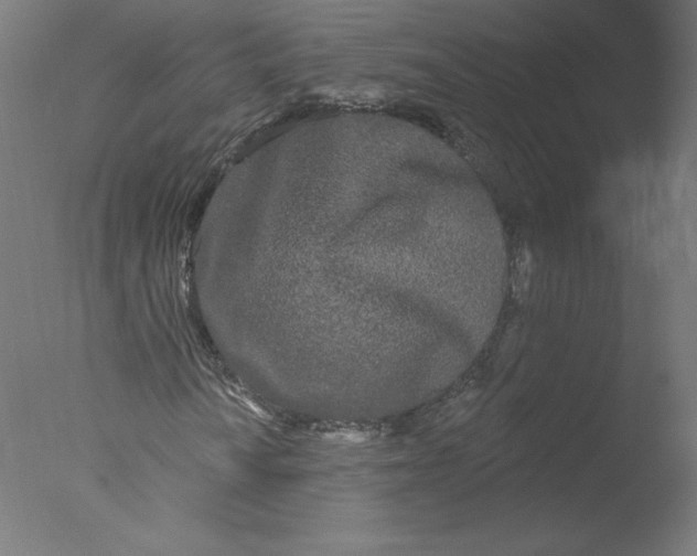 X0000076061010200610201942