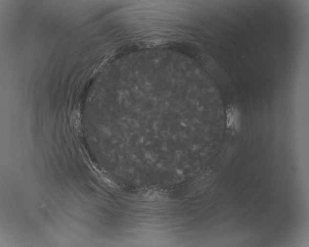 X0000076061011200610201942