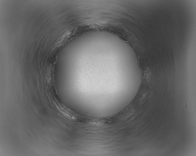 X0000076061012200610201942