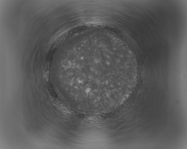 X0000076061015200610201942